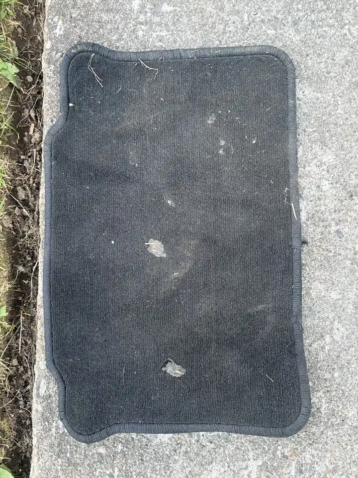 Before: Rear mat
