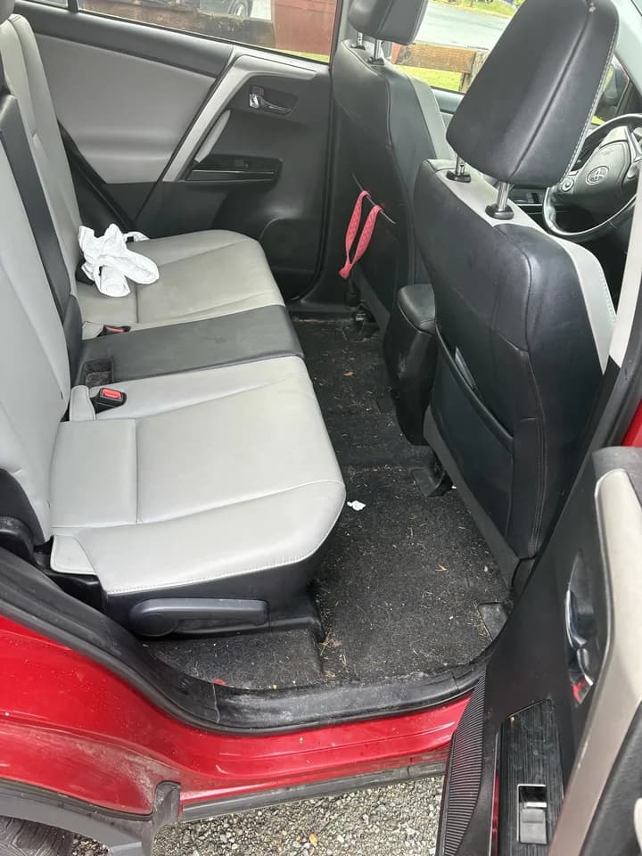 Before: Back seat and floor