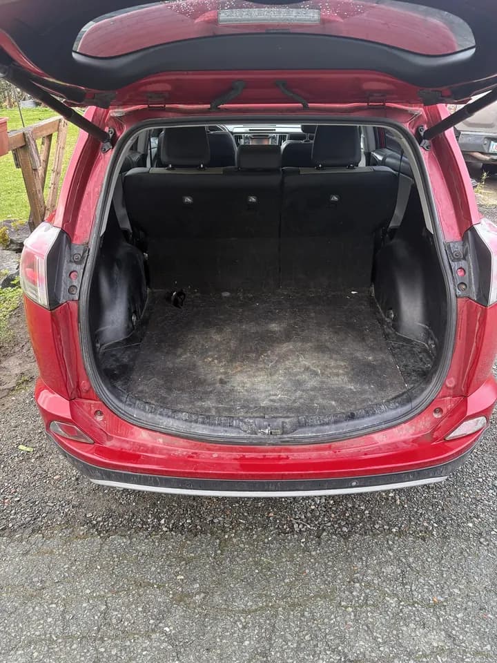Before: Trunk