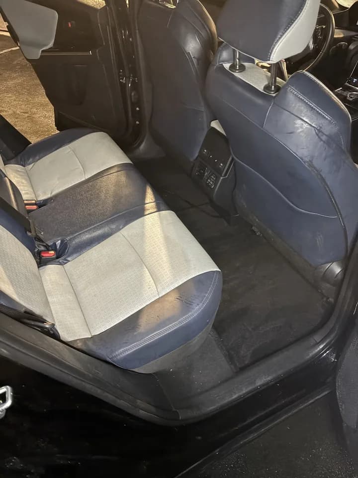 After: Back seat and floor